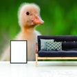 Adorable close-up of a duckling wallpaper in a cozy living room setting, enhancing the whimsical decor.