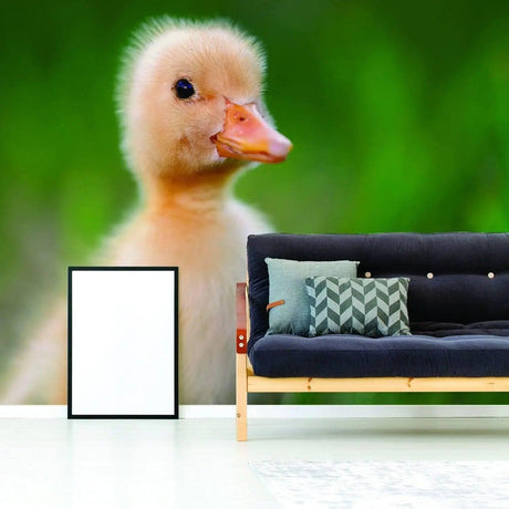 Adorable close-up of a duckling wallpaper in a cozy living room setting, enhancing the whimsical decor.