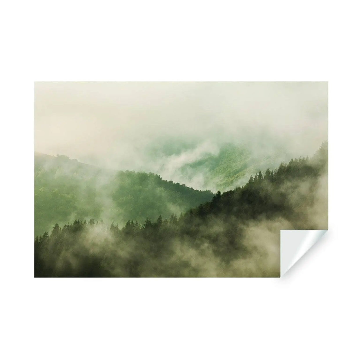 Foggy forest wallpaper mural featuring misty pine hills and a tranquil landscape.