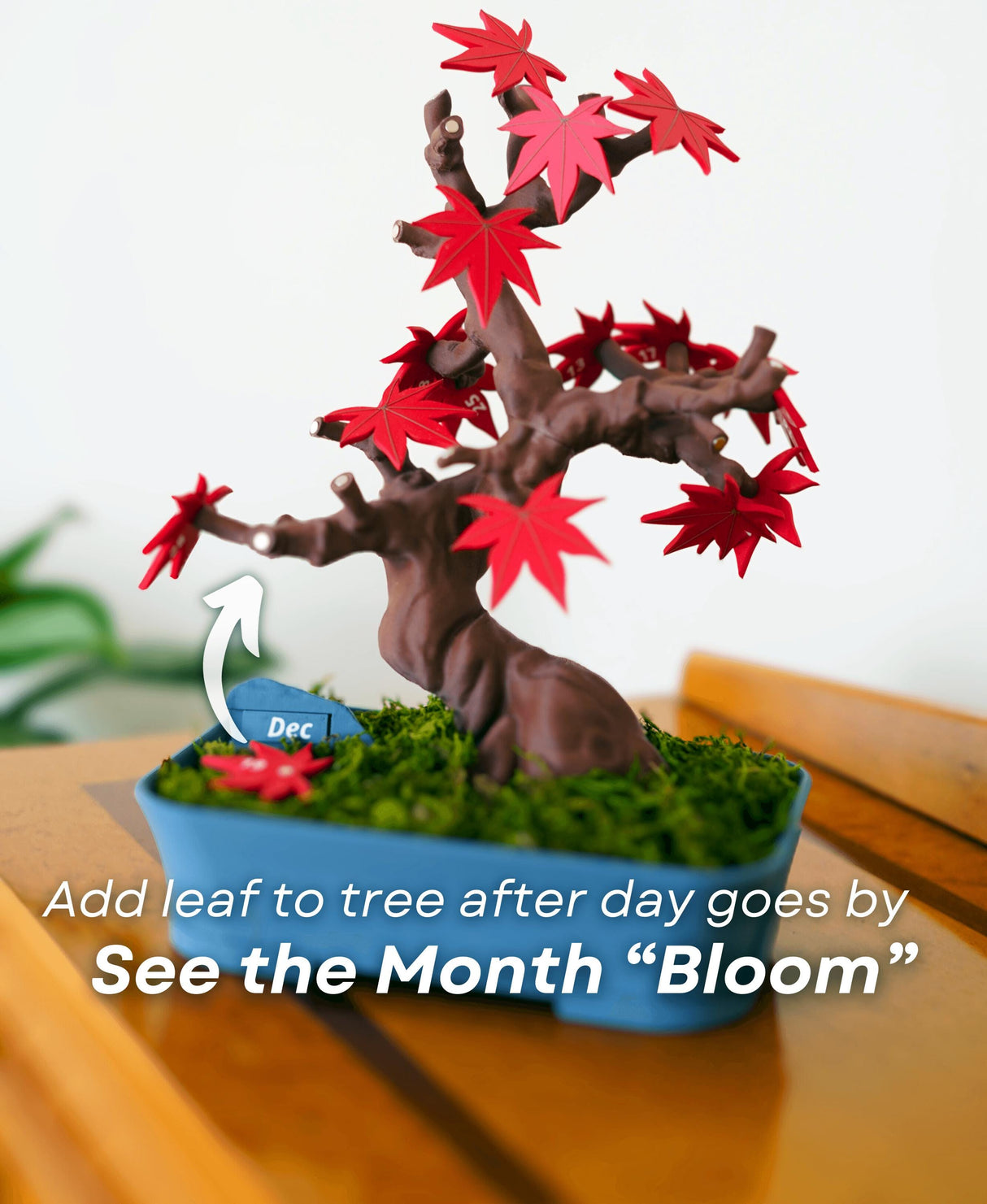 Bonsai tree calendar displaying red leaves, illustrating how to track days as the month blooms.