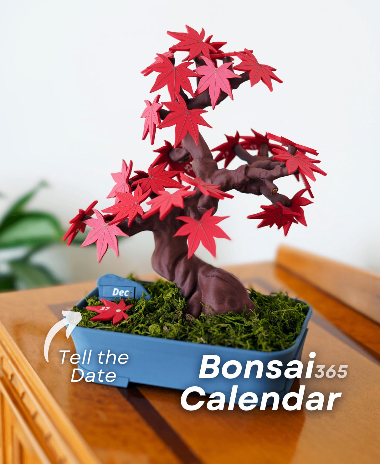 Bonsai 365 Tree Calendar featuring red leaves, functional home decor, and desk organizer for daily date tracking.