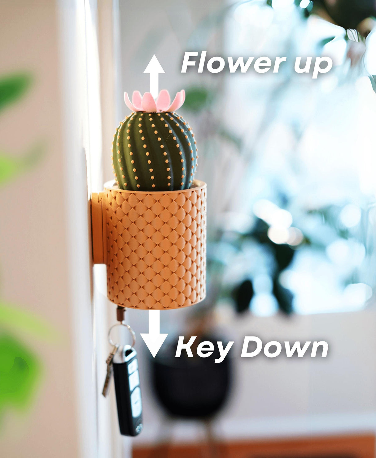 Blooming wall-mounted key holder featuring cactus design, showcasing flower blooming with key attached, unique home decor.
