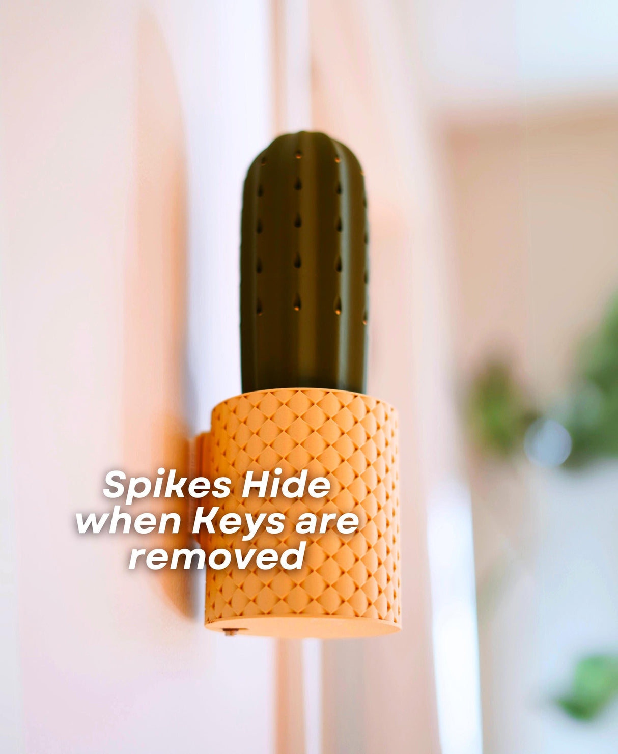 SpiKey Cactus Key Holder with spikes hidden, showcasing unique and fun design for interactive key storage.