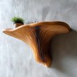 3D printed mushroom shelf with organic design, showcasing a small plant and unique grooves for a nature-inspired home decor.