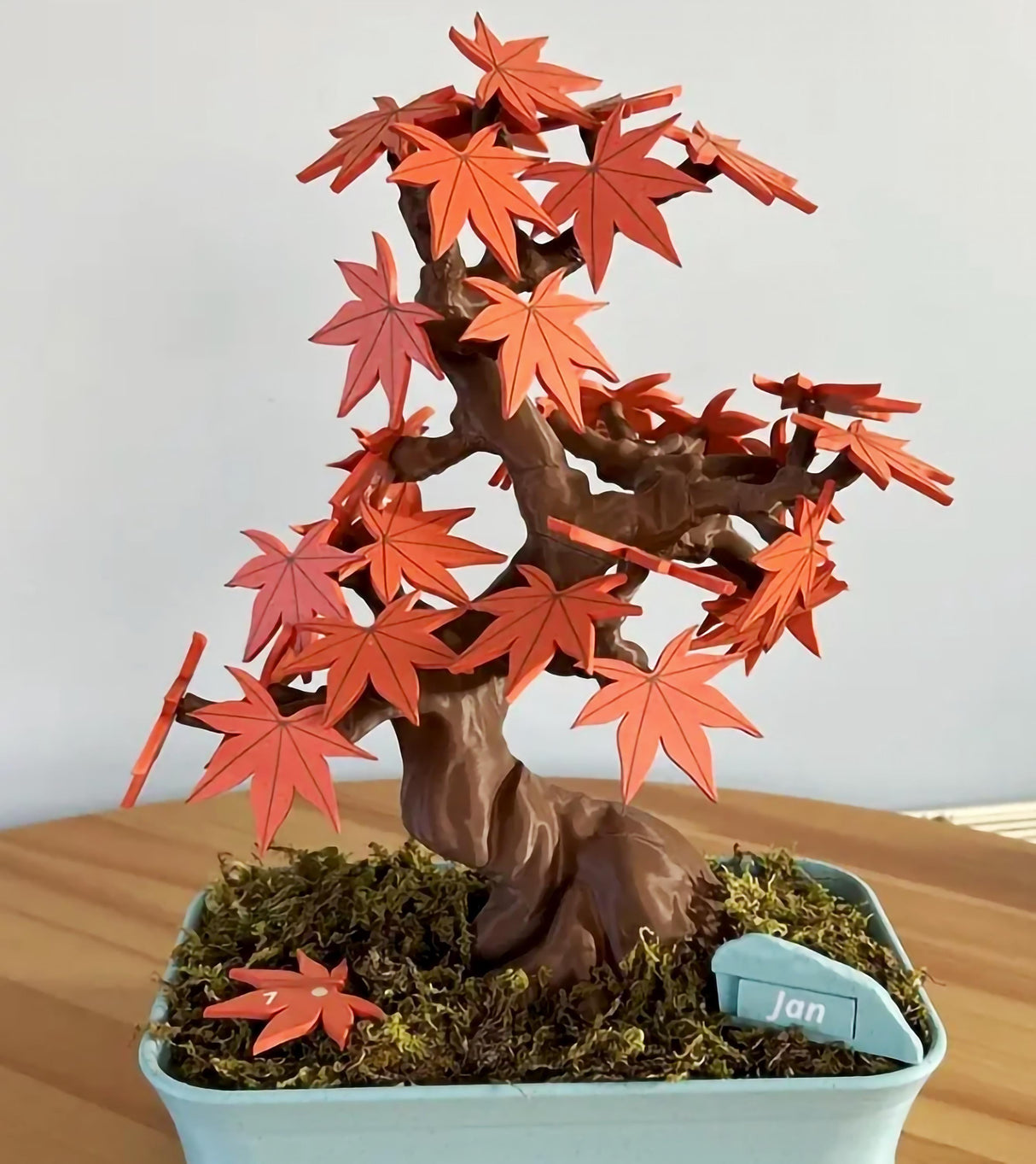 Bonsai tree calendar with red maple leaves and rock marker for January, decorative desk organizer.