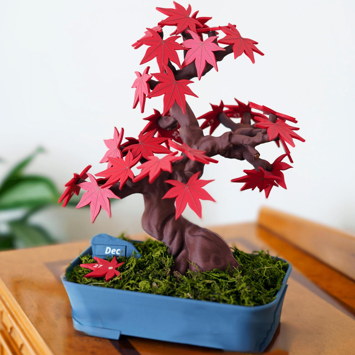 Bonsai 365 Tree Calendar featuring Japanese Maple leaves, perfect desk organizer and unique home decor gift.