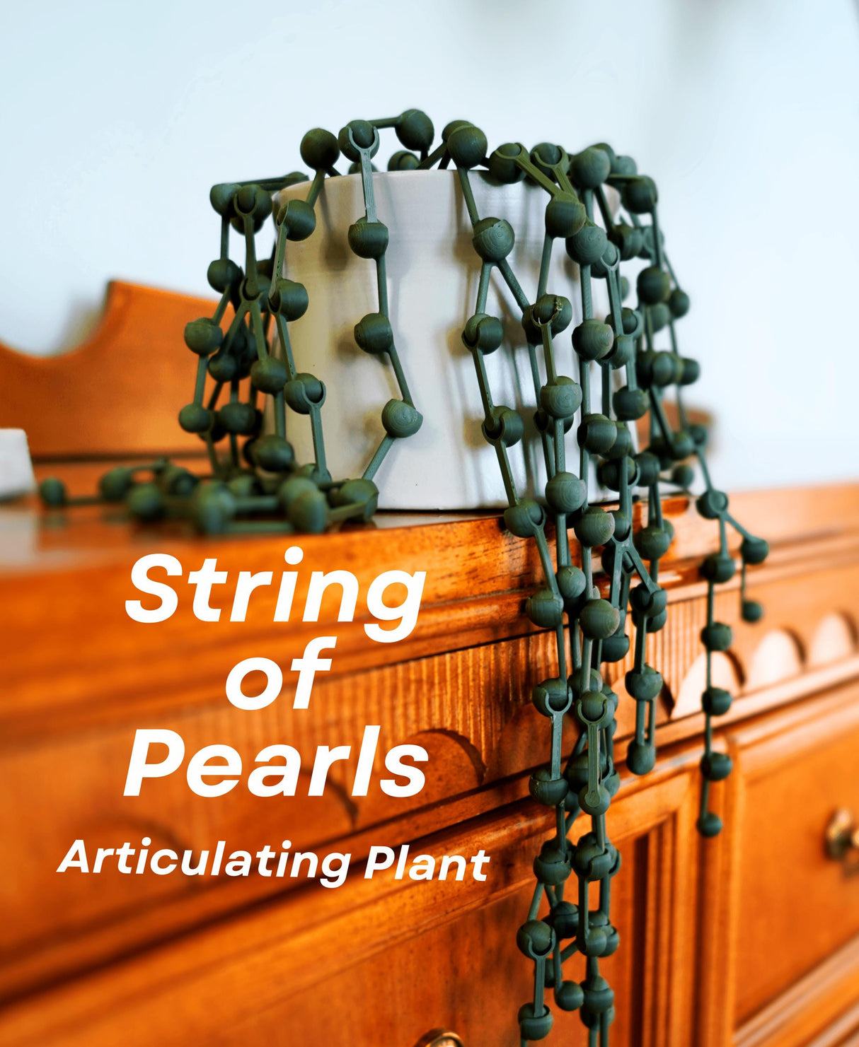 String of Pearls articulating plant in a decorative pot with cascading faux leaves on display.