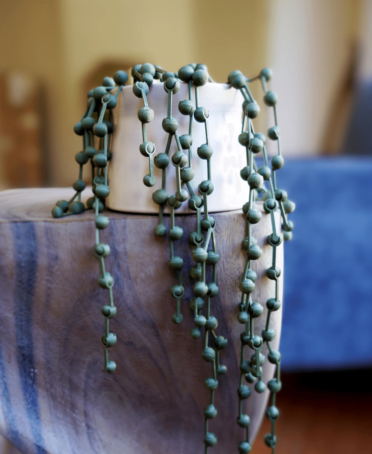 3D printed String of Pearls plant replica cascading over a pot, showcasing customizable hanging plant decor.