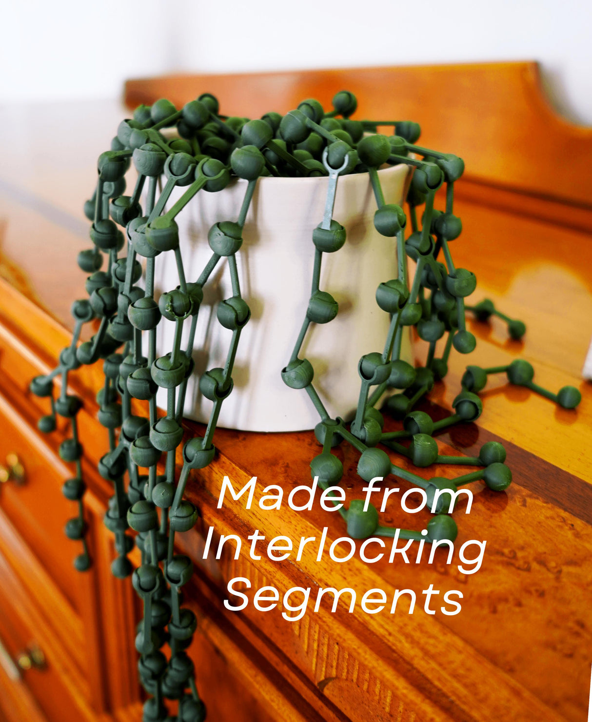 String of Pearls 3D-printed plant with interlocking segments in a decorative pot on a wooden surface.