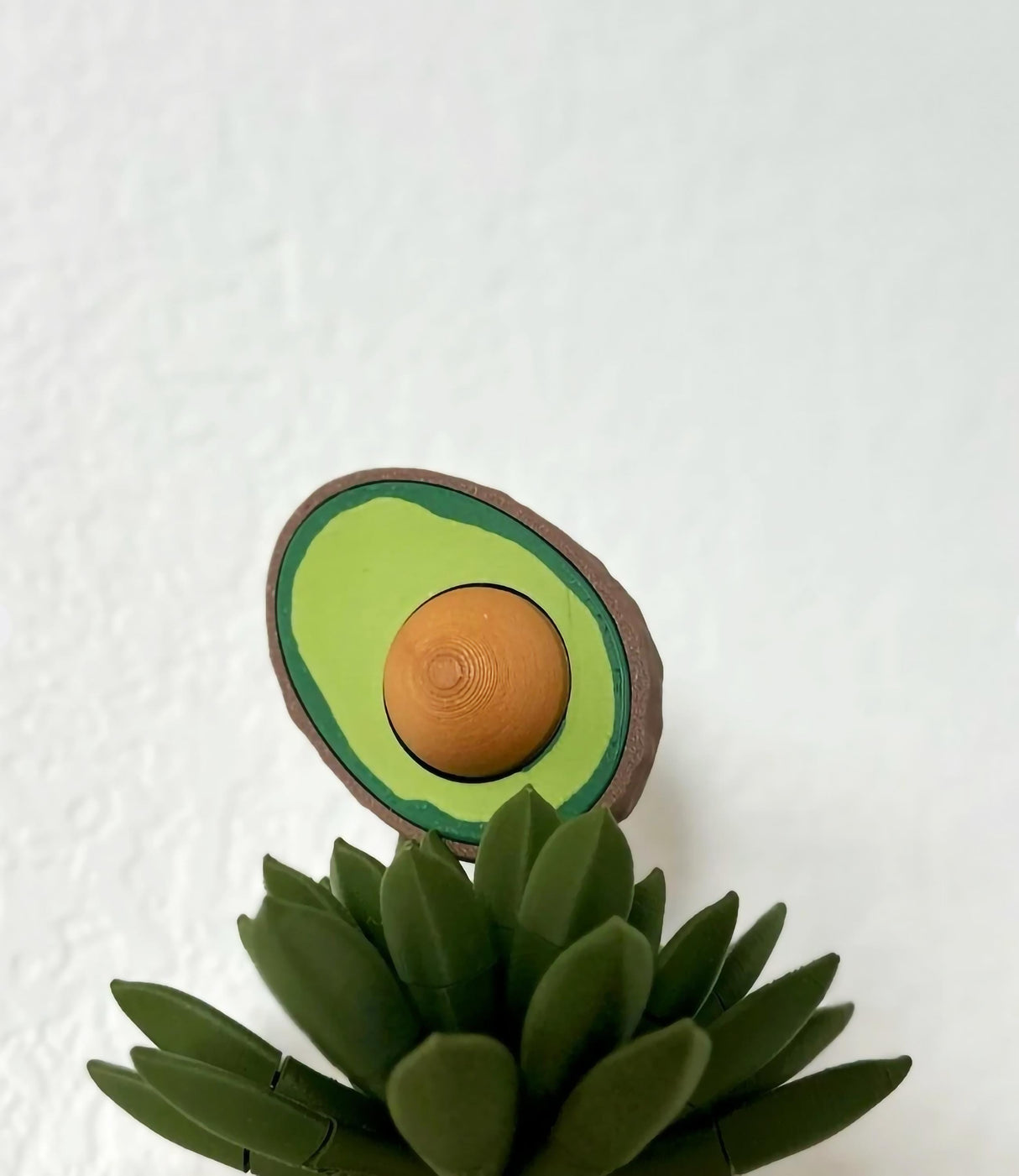 Avocado Clicker fidget toy on a succulent plant, featuring a realistic avocado design for stress relief.