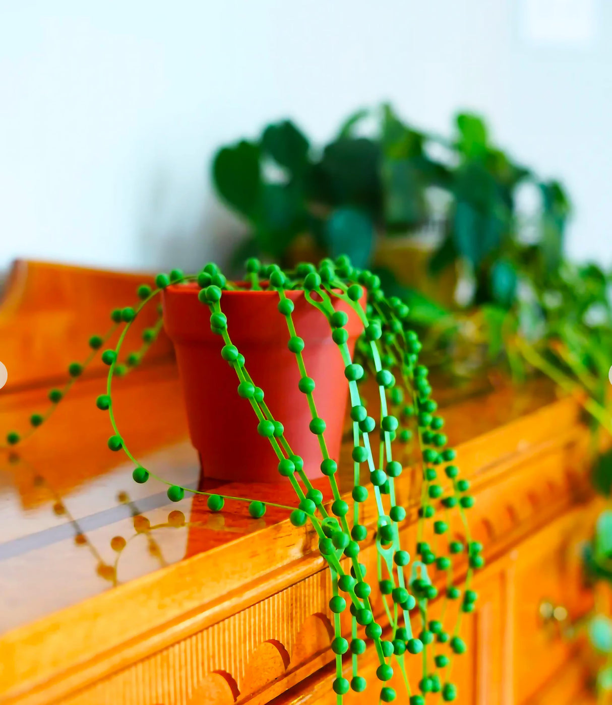 String of Pearls cable organizer on a wooden desk, resembling a decorative plant with cascading green elements.