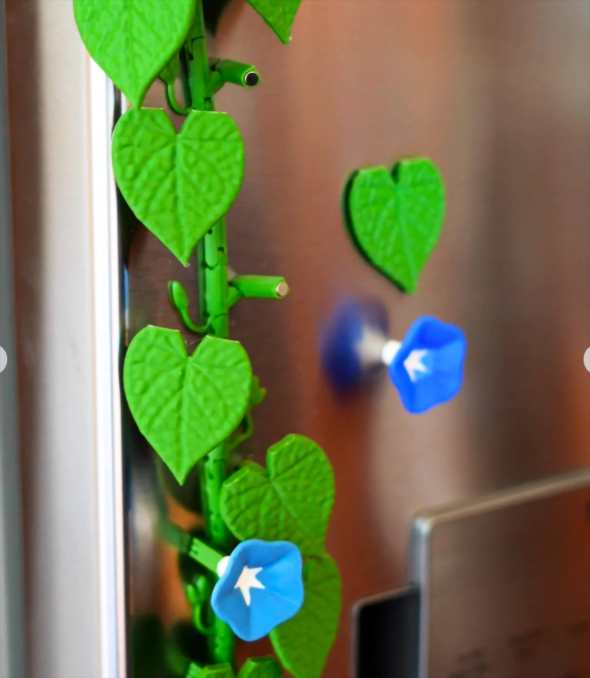 Vibrant 3D printed morning glory fridge magnets with ivy leaves and blue blooms, adding nature-inspired decor to your kitchen.