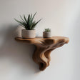 Tree root-inspired floating shelf with two potted plants, perfect for modern earthy home decor.