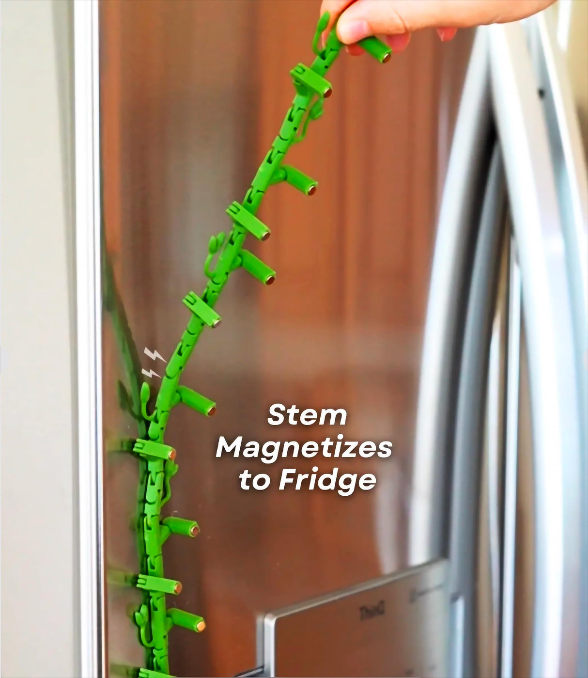 Flexible green stem fridge magnet mimicking ivy vine, easily attachable to any refrigerator surface.