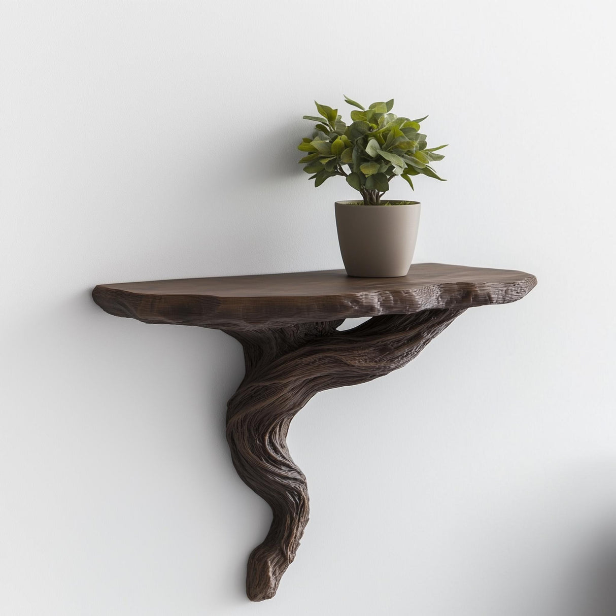 Twisted root wall shelf with a potted plant, featuring a rustic design perfect for modern decor.