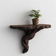 Organic tree root wall shelf with potted plant, rustic nature decor for home interiors.