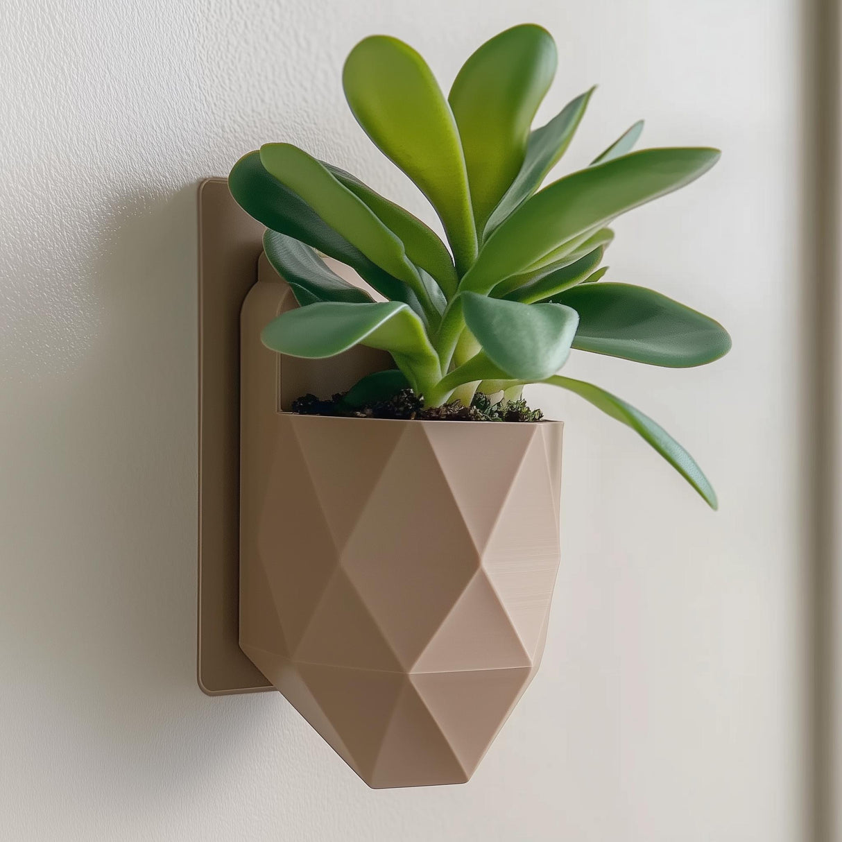Geometric Wall Planter | 3D Printed Faceted Plant Pot | Modern Vertical Garden