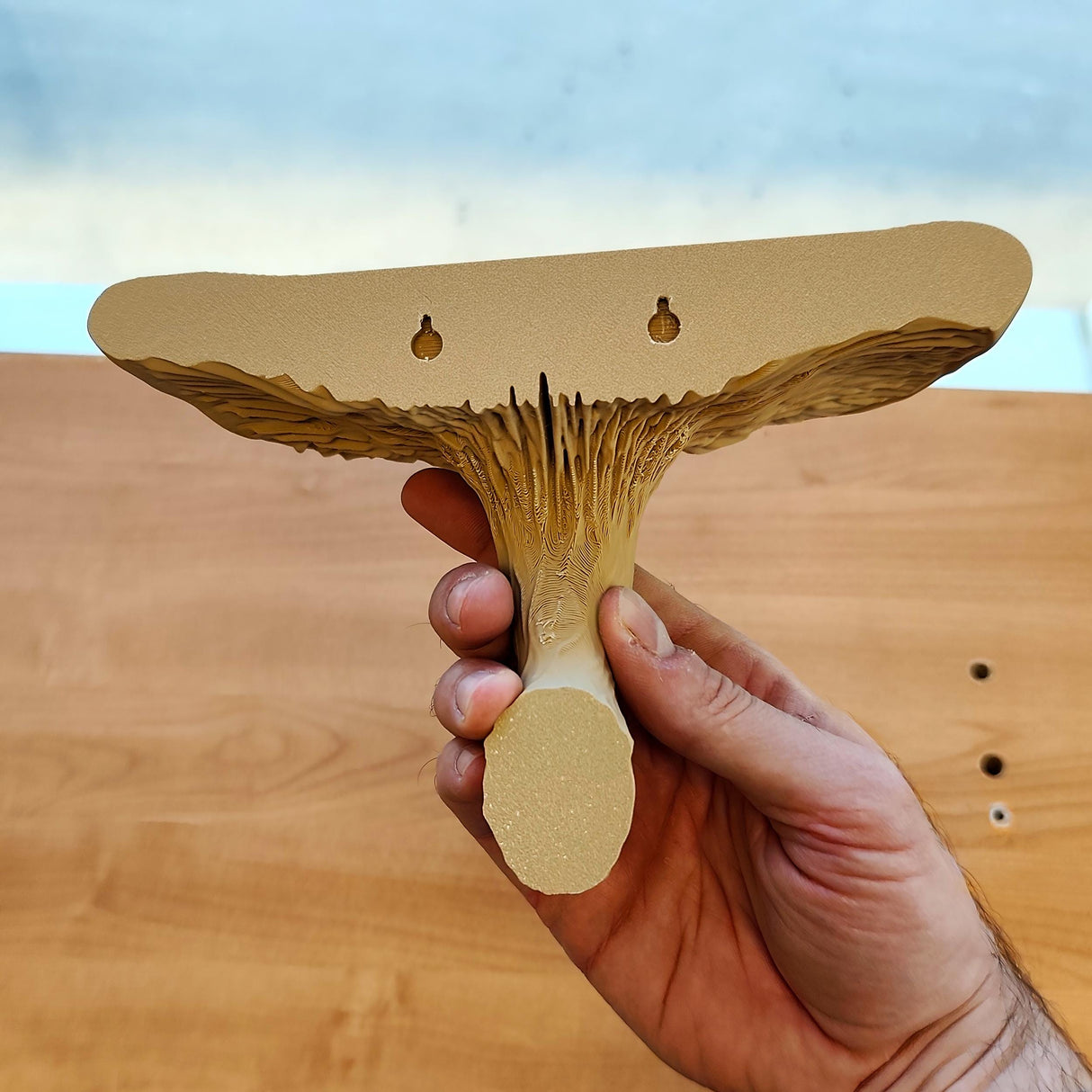 3D Printed Mushroom Shelf | Floating Wall Shelf | Fungi Wall Decor