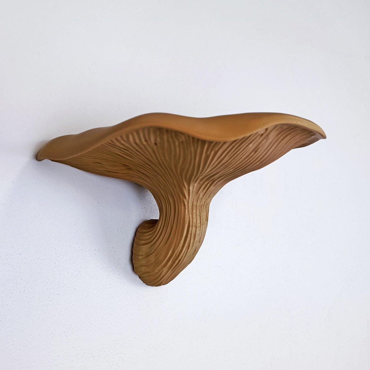 Fungi Floating Wall Shelf | 3D Printed Mushroom Organic Wall Decor | Nature Inspired Home Accent Modern Wall Mounted Shelf