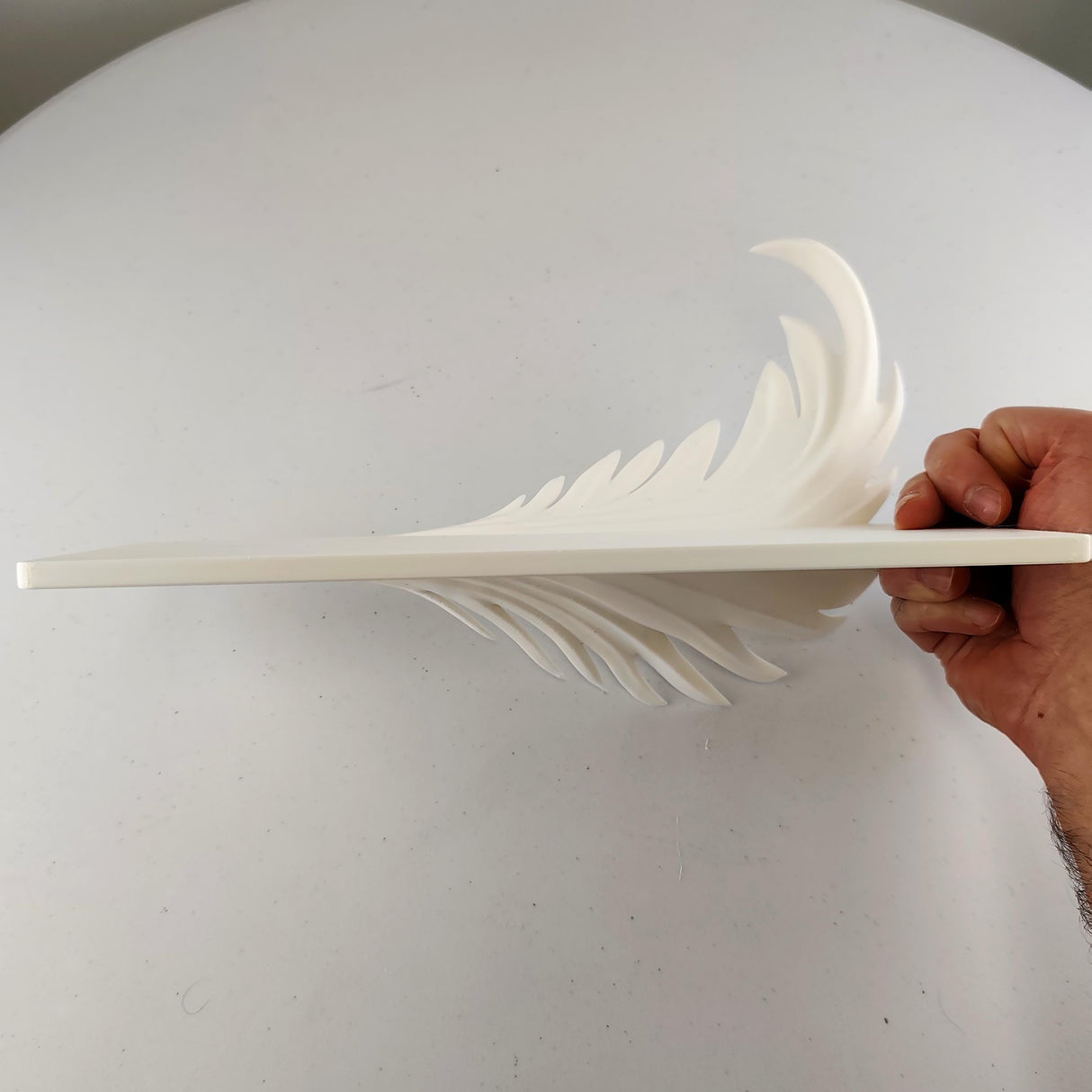 3D Printed Feather Wall Shelf | Sculptural Floating Display Ledge | Minimal Modern Wall Decor Accent for Contemporary Stylish Home Interiors