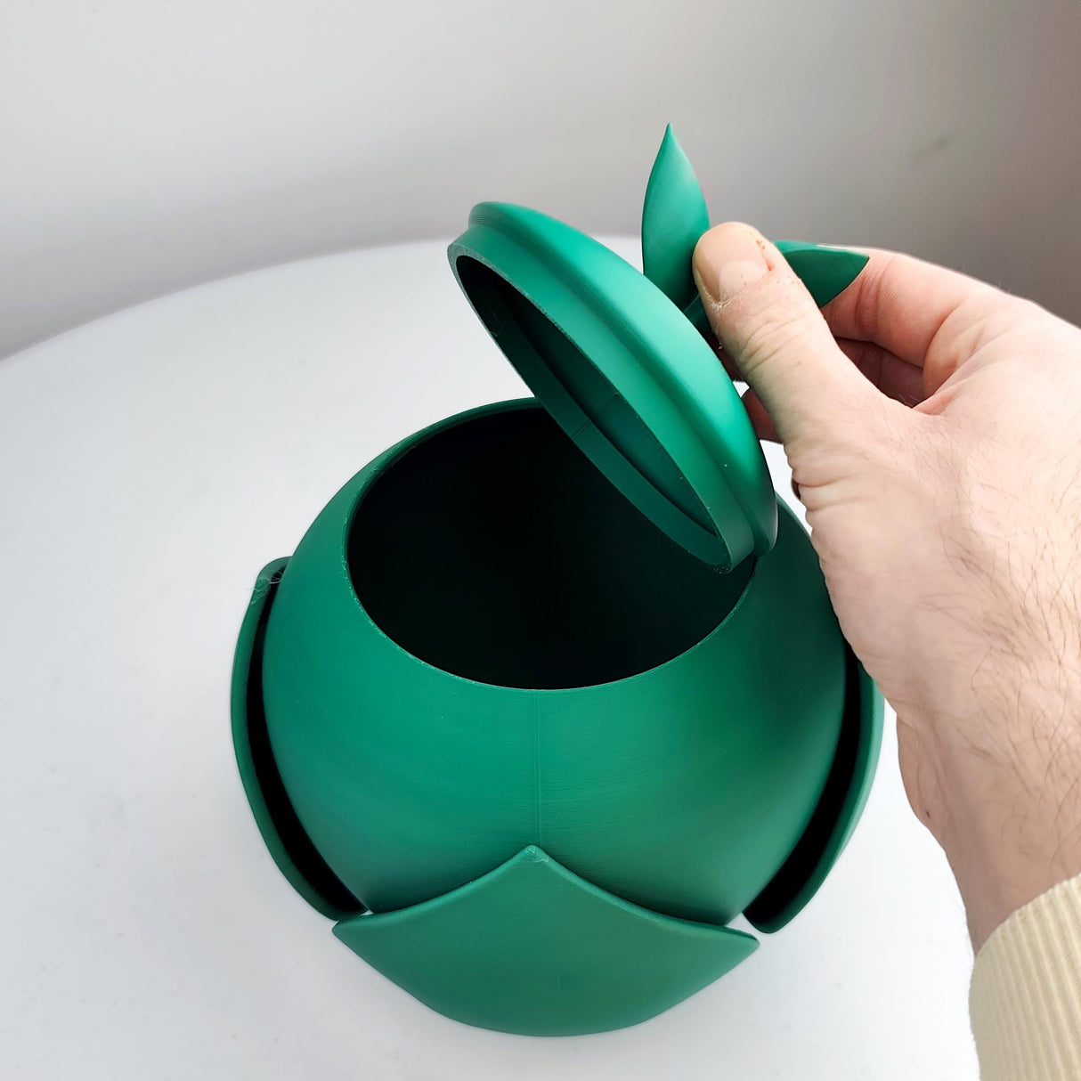 3D Printed Nature-Inspired Pet Cremation Urn with Leaf Design | Organic 3D Printed Memorial Urn for Pets |Modern Botanical Remembrance Decor