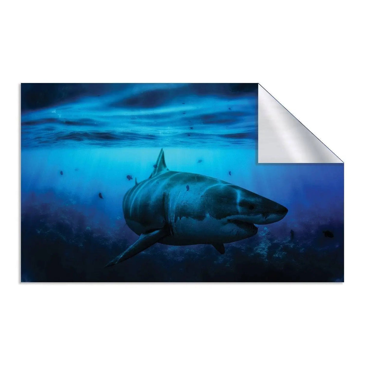 Large underwater mural featuring a majestic shark swimming in a vibrant blue ocean landscape.