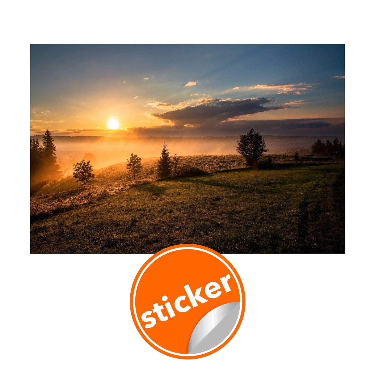 Sunset wall decals featuring a scenic landscape with trees and a golden sunset, perfect for home decor.