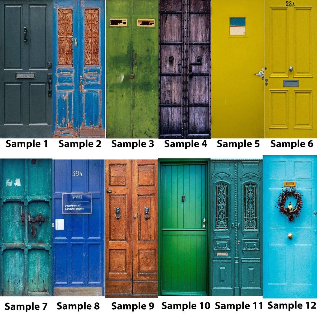 Assorted colorful doors showcasing various designs and styles for home renovation inspiration.