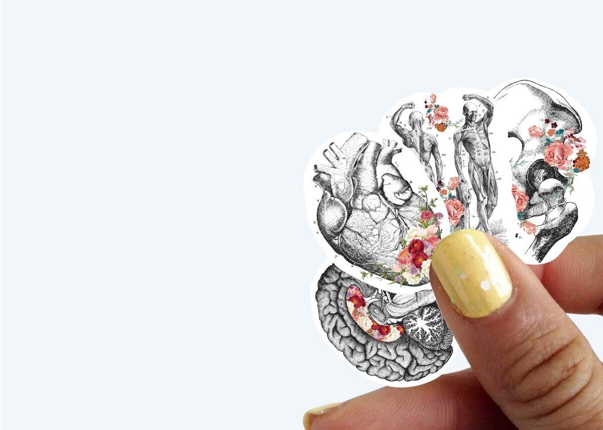Hand holding vibrant anatomy stickers featuring heart, brain, and human figures with floral designs.