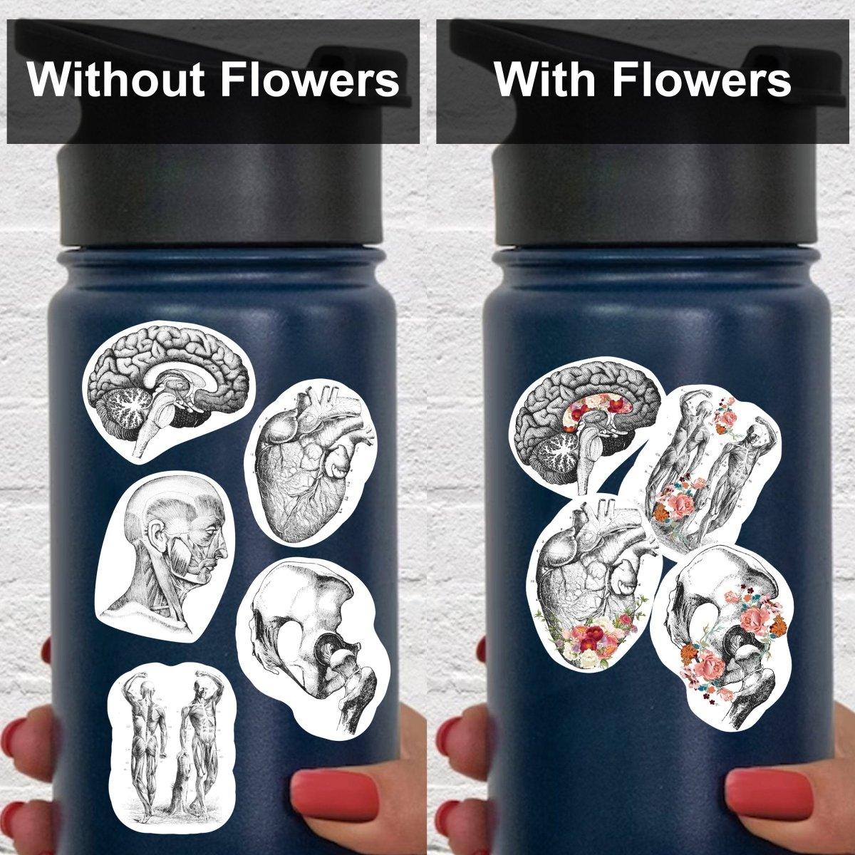 Before and after showing Anatomy Stickers on a Hydroflask, with and without floral designs.