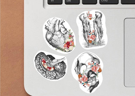 Anatomy-themed vinyl decals featuring heart, brain, and human figures with floral designs on a laptop surface.
