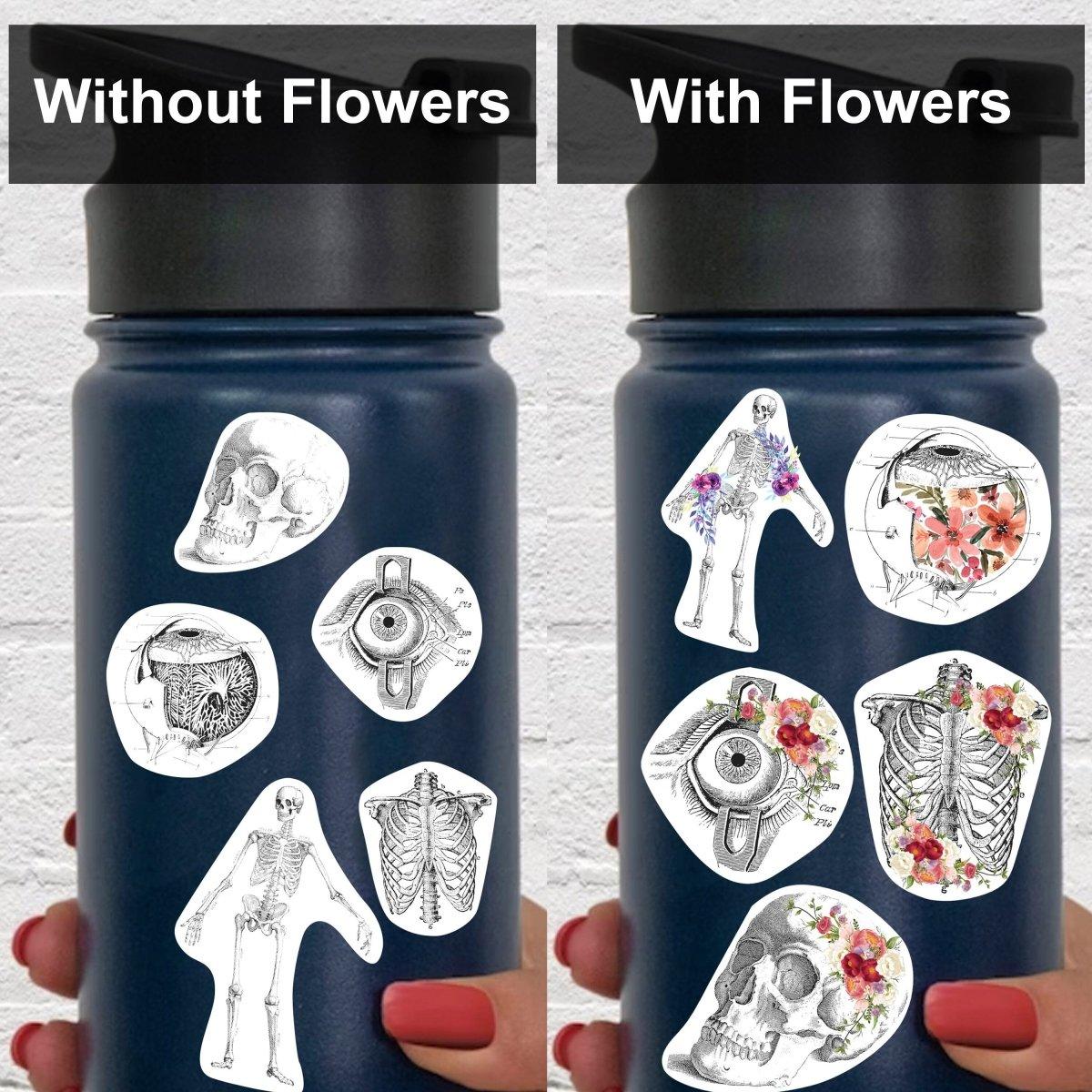 Anatomy laptop stickers on a water bottle, showing designs with and without floral decorations.