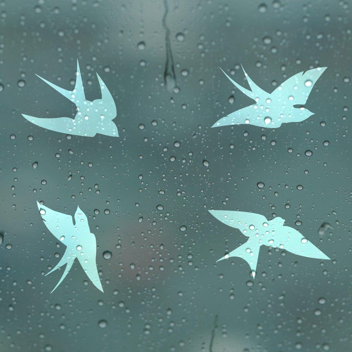 Four blue bird decals on a rain-soaked window, promoting bird safety and collision awareness.