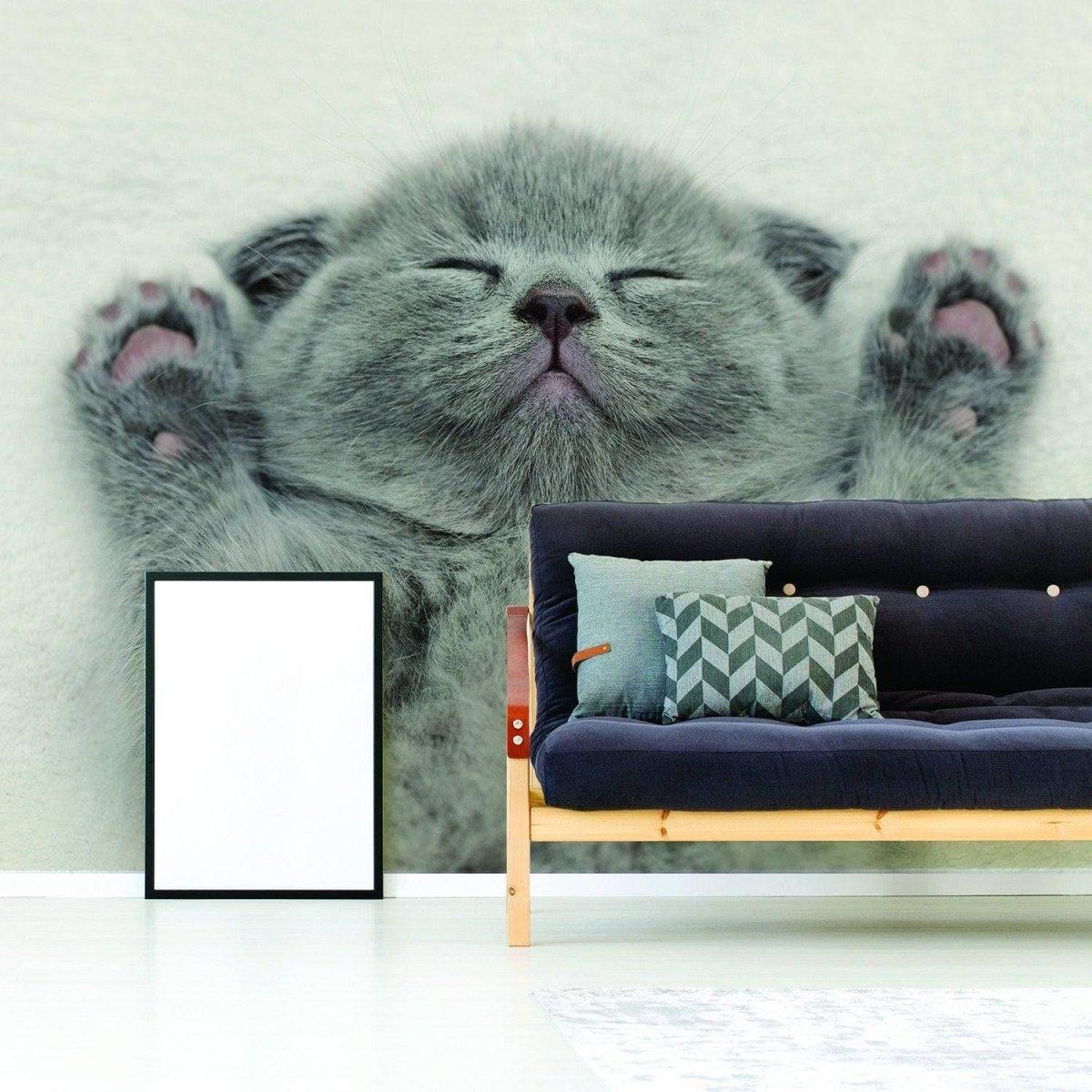Gray kitten wall sticker on living room wall, featuring a cute kitten with paws raised, adding charm to home decor.