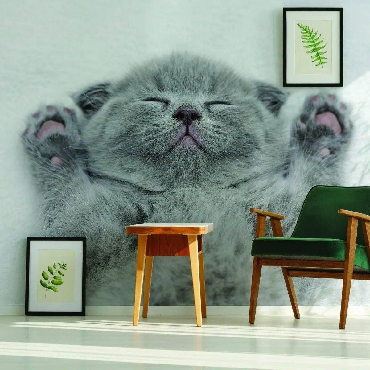 Gray kitten wall sticker, featuring an adorable grey cat sleeping with paws raised, perfect for cat lovers' home decor.