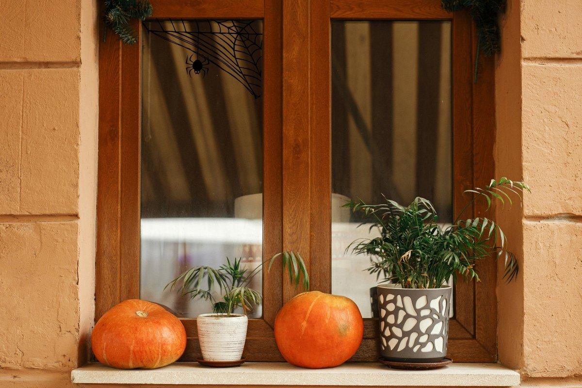 Cozy window display featuring pumpkins and plants, with a spider web decal adding a spooky touch for Halloween decor.