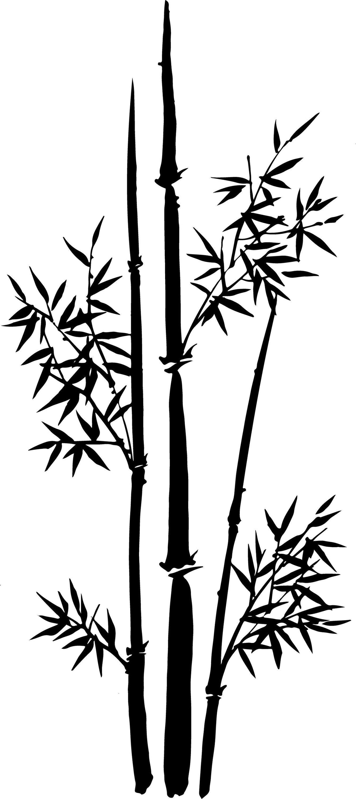 Large bamboo wall vinyl sticker decal featuring detailed bamboo stalks, perfect for home decor and design.