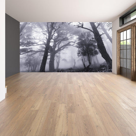 Foggy forest mural wallpaper decal in a modern room, creating a serene and mystical atmosphere.