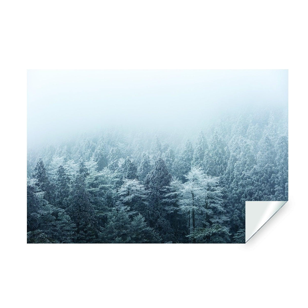 Foggy forest mural featuring misty mountains and evergreen trees, perfect for transforming any room.