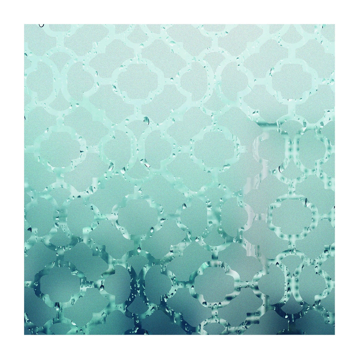 Frosted door film vinyl decal featuring an elegant etched glass design for added privacy.