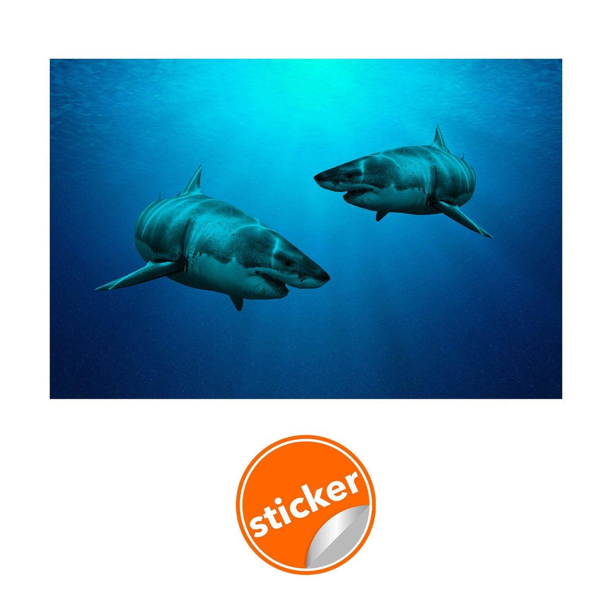 3D underwater shark wall sticker creating an immersive ocean experience, perfect for home decor.