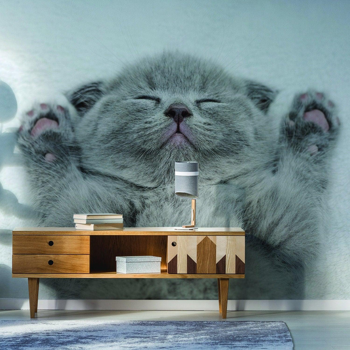 Gray kitten wall sticker on a home interior, featuring a cute close-up of a sleeping cat, perfect for cat lovers.