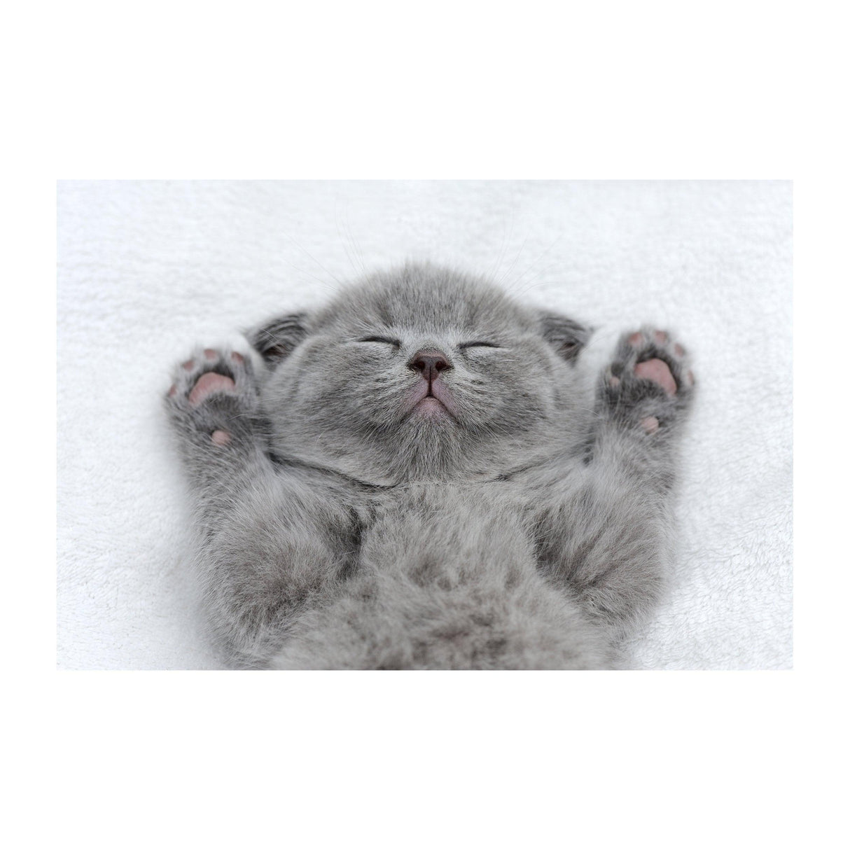 Cute gray kitten sleeping with paws in the air on a fluffy white surface.