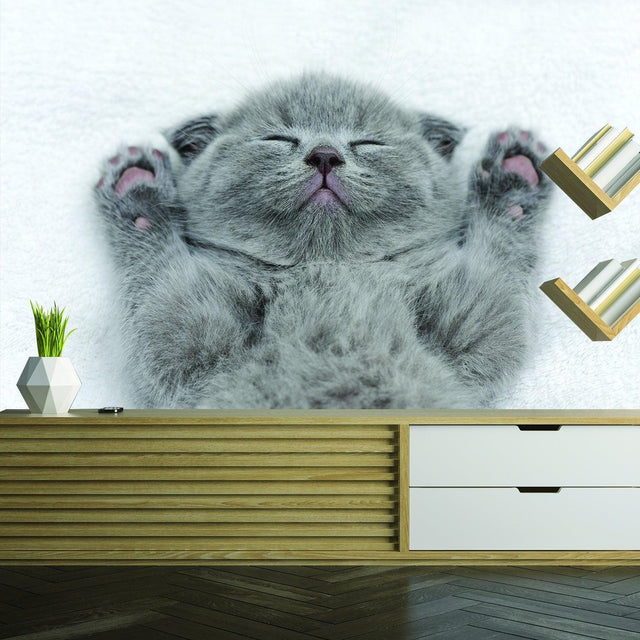 Cute gray kitten sleeping with paws up on soft surface, perfect for cat lovers' home decor.