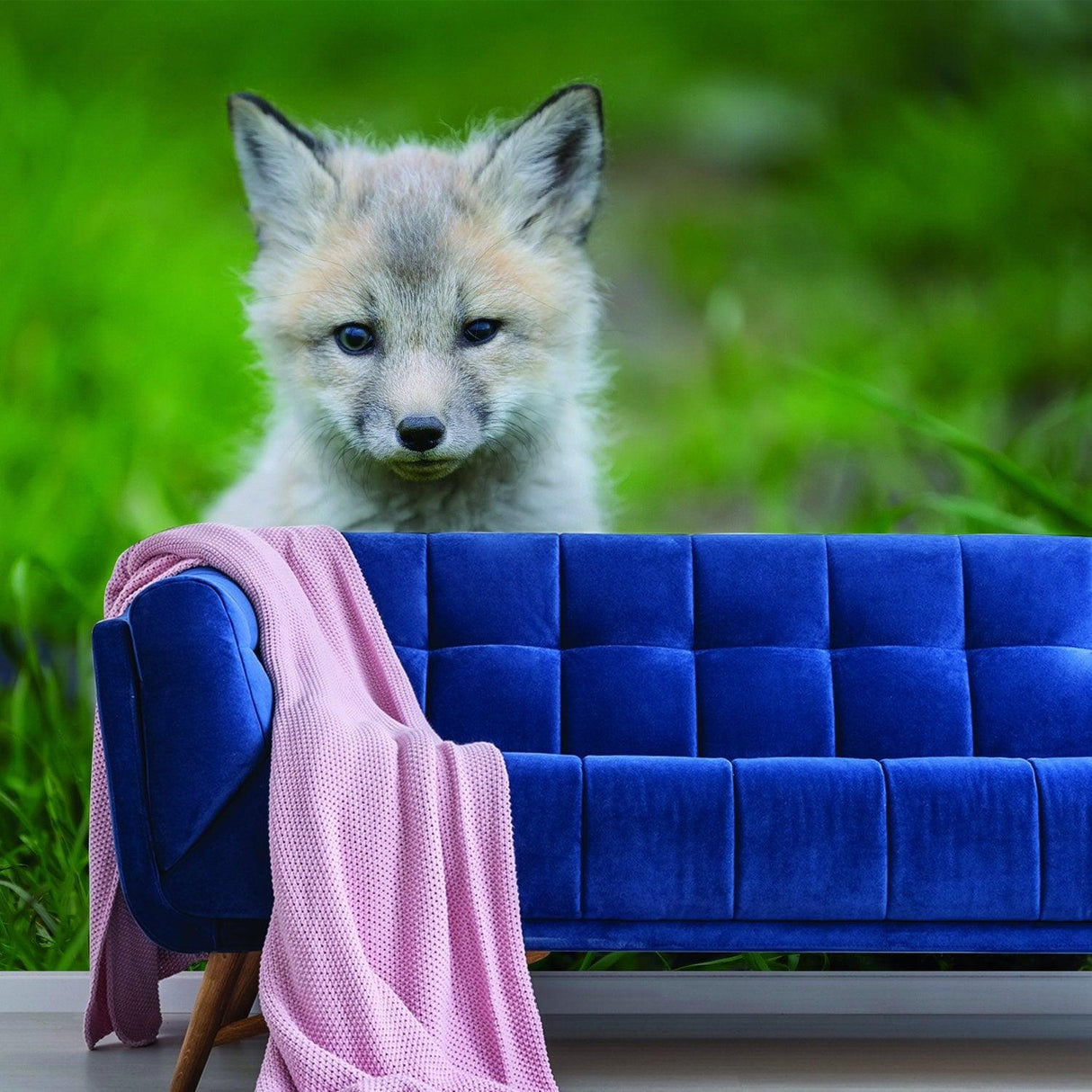 Cute little fox wallpaper decor next to stylish blue couch with pink throw blanket in a nursery setting.