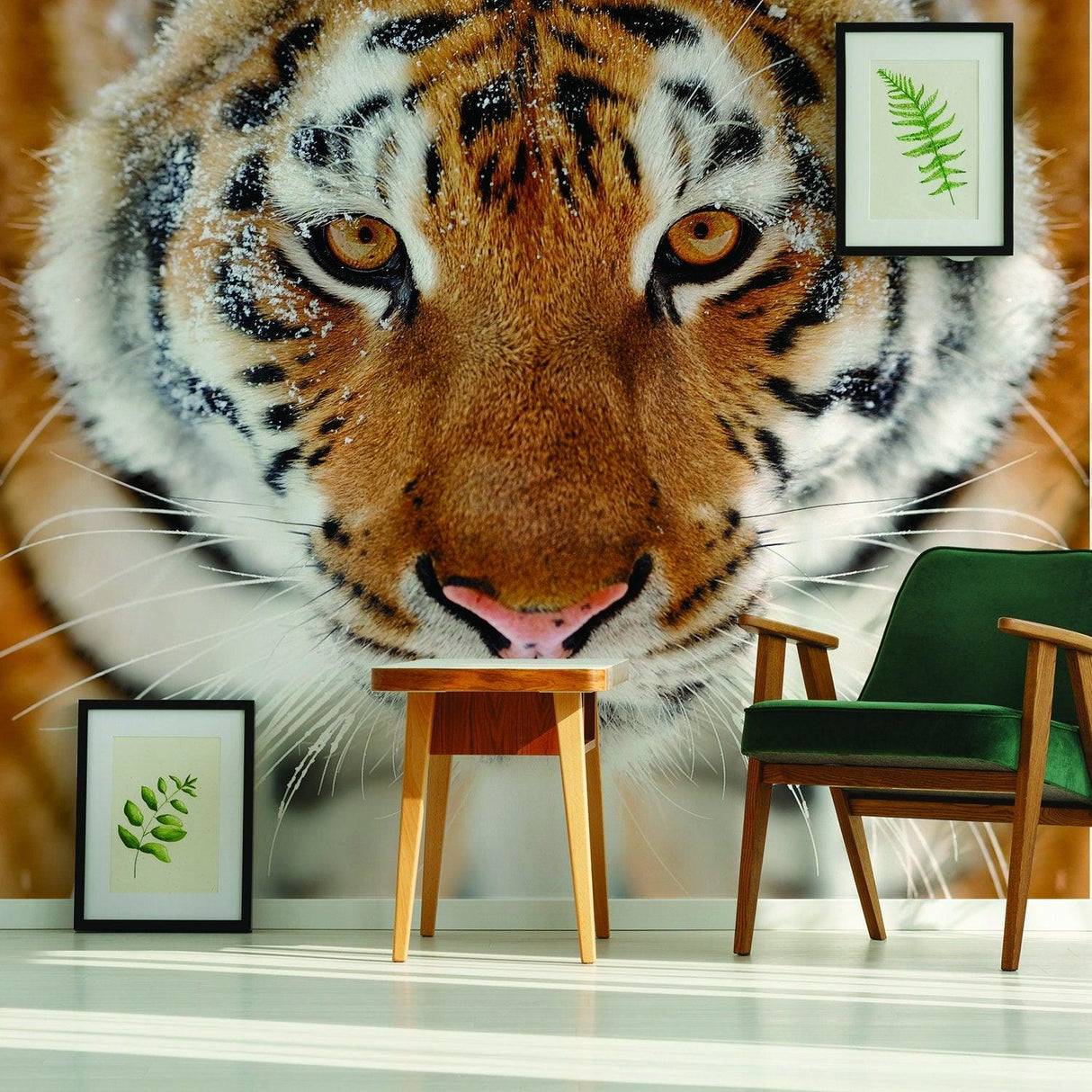 3D orange tiger wall decal in a living room setting with green furniture and plant art.