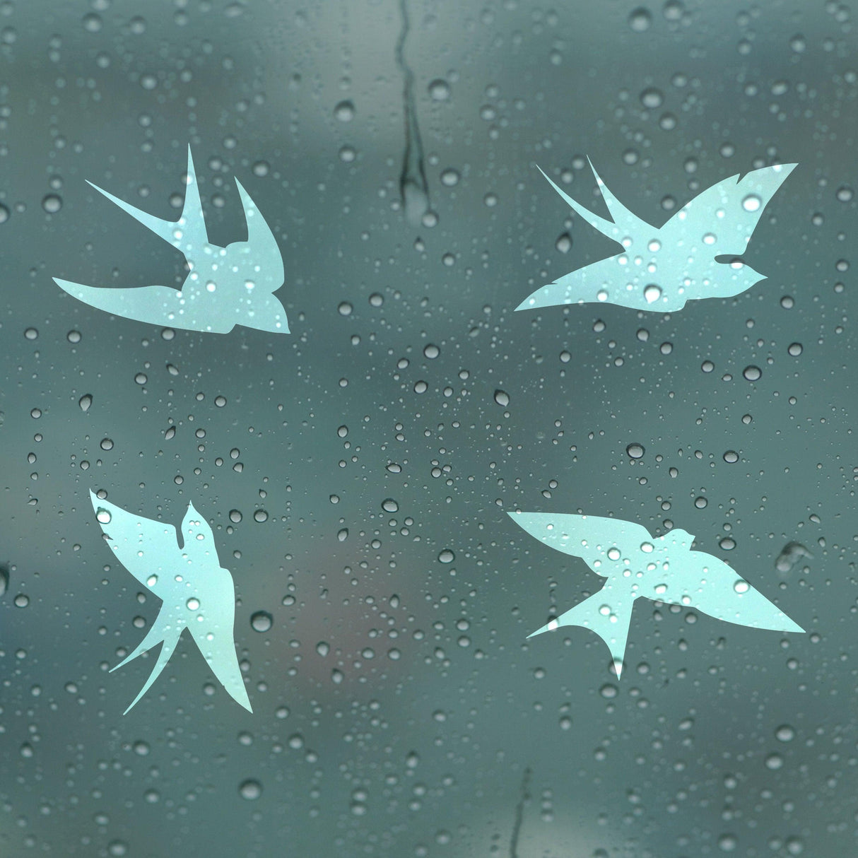 Frosted window decals featuring bird designs to prevent collisions and protect wildlife.