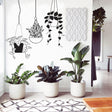 Botanical Oasis wall sticker with hanging plants and potted plants in a modern home setting.