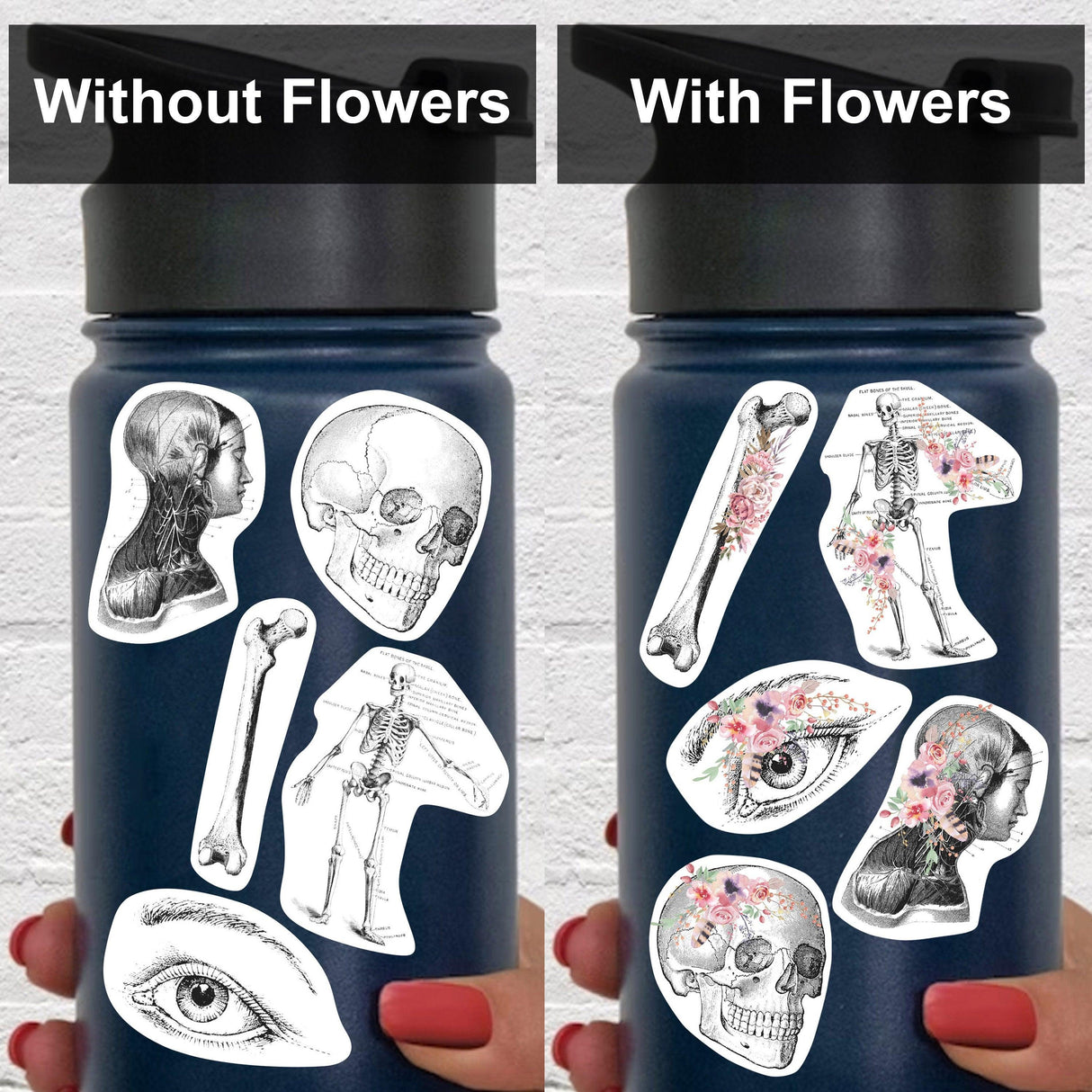 Hydroflask featuring anatomy stickers with and without floral designs, ideal for doctors and medical students.