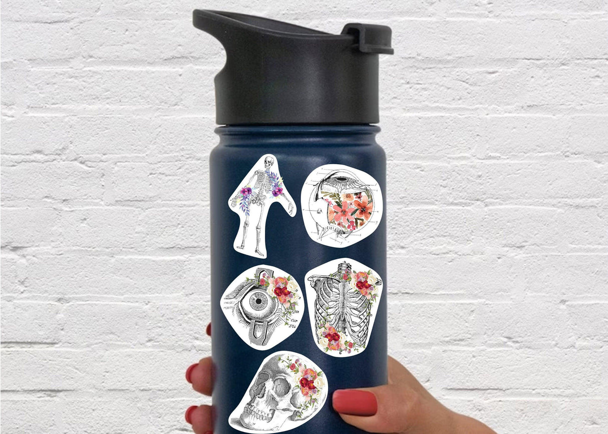 Anatomy stickers on a Hydroflask, featuring floral designs and medical illustrations, perfect for doctors and students.